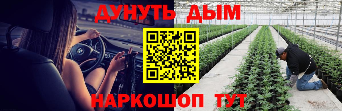 Канабис ГИДРОПОН  Марихуана планчик  Тулун  МАРИХУАНА Bruce Banner  Вход с VPN 